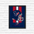 Quadro NFL Houston Texans - comprar online