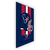 Quadro NFL Houston Texans - loja online