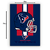 Imagem do Quadro NFL Houston Texans