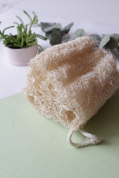 Luffa