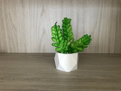 Vaso PEQUENO Decorativo + Plantinha