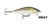 ISCA RAPALA COUNTDOWN ELITE CDE75 - 7,5CM 10GR na internet