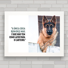 Quadro Decorativo Cachorro Pastor Alemão Características da Raça - Kiaga