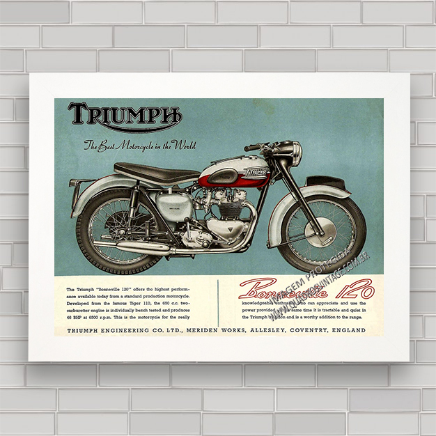 Quadro Decorativo Desenho Moto Trumph Speed Triple - Tribos - Quadro  Decorativo - Magazine Luiza