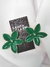 Brinco flor esmaltado na laca italiana verde