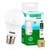 kit 10 Lâmpadas Led Bulbo 9W Taschibra 6500K Branco Frio Bivolt Base E27 - comprar online