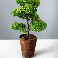 Planta artificial Bonsai - comprar online