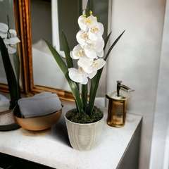 Arranjo de Orquídea Branca Vaso Porcelana