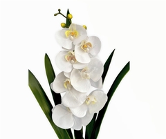 Arranjo de Orquídea Branca Vaso Porcelana na internet
