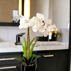 Arranjo de Orquídea Branca Vaso cerâmica - comprar online