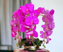 Arranjo de Flores Artificiais Orquídeas Fucsia na internet