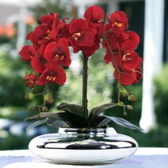 Arranjo de Flores Artificiais Orquídeas Vermelhas, medindo 50cm de altura e 30cm de largura, trazendo a beleza vibrante das orquídeas para sua decoração com detalhes e elegância duradouros.