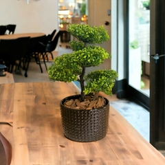 Planta artificial Bonsai na internet