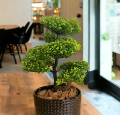 Planta artificial Bonsai