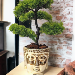 Planta artificial Bonsai no vaso dourado buda - comprar online