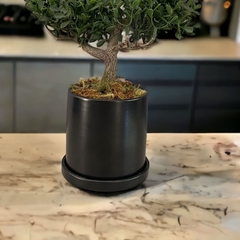 Planta artificial Bonsai para decoracao na internet