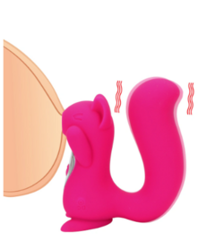 Vibrador Esquilo Estimulador Clítoris 10 Intensidades Sucção Cor Rosa - loja online