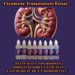 Depurador Renal para Apoyar la Restauración y Revitalización de la Salud Renal - (copia)