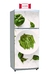 Heladeras | VEGETALES 60x165cm - comprar online