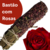 Bastão de ervas com Rosas - comprar online