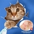 Imagem do Cortador de unhas profissional para gatos, tesoura para mini animais de estimaç