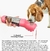 Garrafa de água portátil KOMMILIFE para cães e gatos, alimentador de alimento na internet