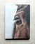 Image of Horse eye, 30x23 cm. Oil.