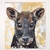 Pudú, 80x90 cm - tienda online