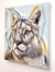 Puma, 25x25 cm. Acrílico - tienda online