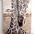 Giraffes , 54x110 cm. Acrylic - Isa Dorean Art