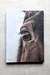 Horse eye, 30x23 cm. Oil. on internet