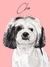 Digital pet portrait - buy online