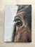 Ojo de caballo, 30x23 cm. Óleo, - Isa Dorean Art