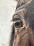 Horse eye, 30x23 cm. Oil. - buy online