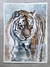 Acuarela tigre 27 x 37.5 cm - comprar online