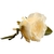 White Rose Napkin Holder on internet