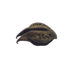 Fava Garra de Pomba Gira - comprar online