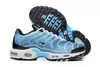 Nike Air max plus TN ''Photography Royal''