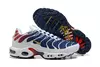 Nike Air max plus TN ''Psg''