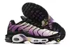 Nike Air max plus TN ''Bold Berry''