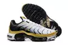 Nike Air max plus TN ''Gold''