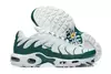 Nike Air max plus TN ''Lacoste''