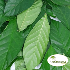 Chacrona Premium - Embalagem com 2 Kilos - comprar online