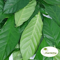 Chacrona Premium - Embalagem com 1 Kilo - comprar online