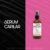 Serum Capilar Absolut Repair [PACK X12]