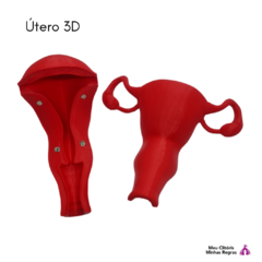 uterus 3d - buy online