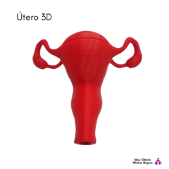 Image of uterus 3d