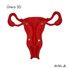 uterus 3d - online store