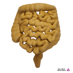 Intestino 3D - comprar online