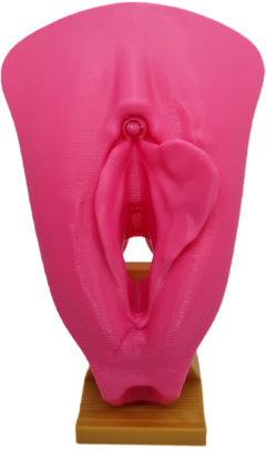 Imagem do Vulva 3d com clitóris